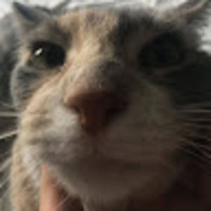 Meet your Posher, Sarina